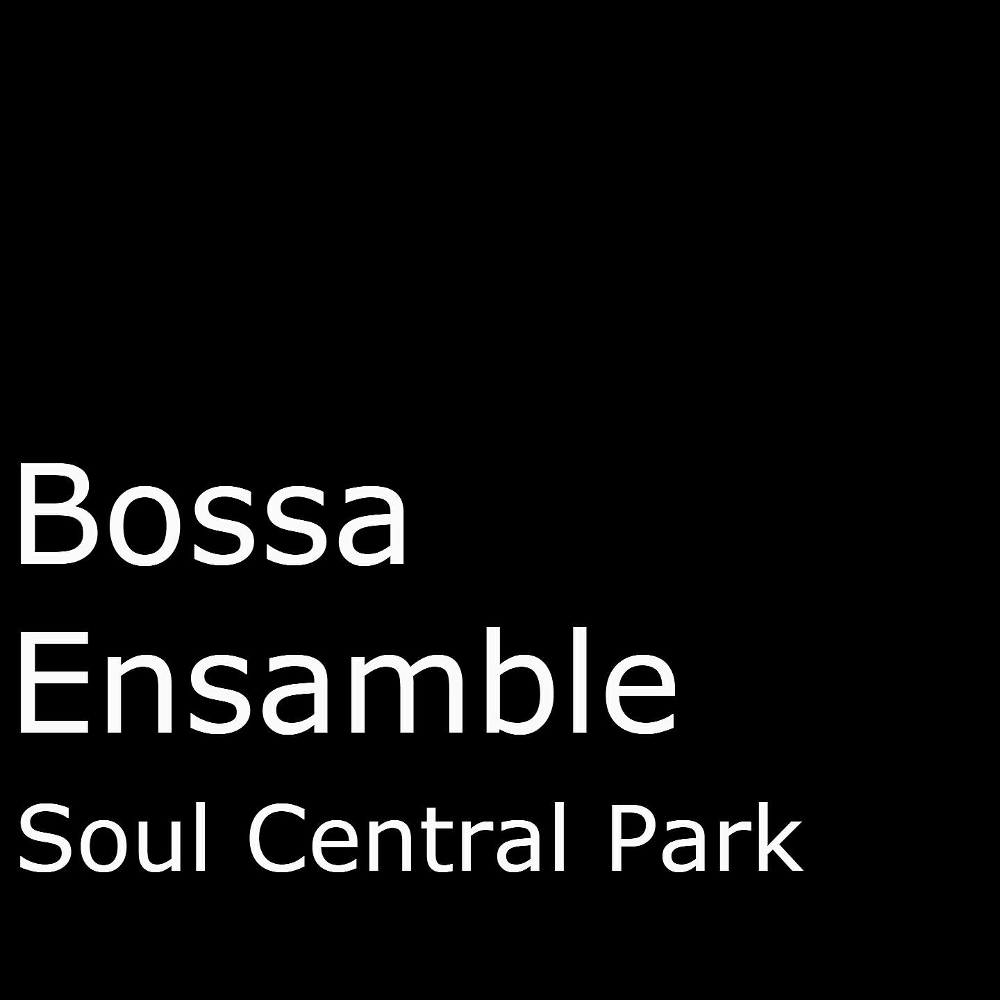 Bossa Ensamble - Soul Central Park