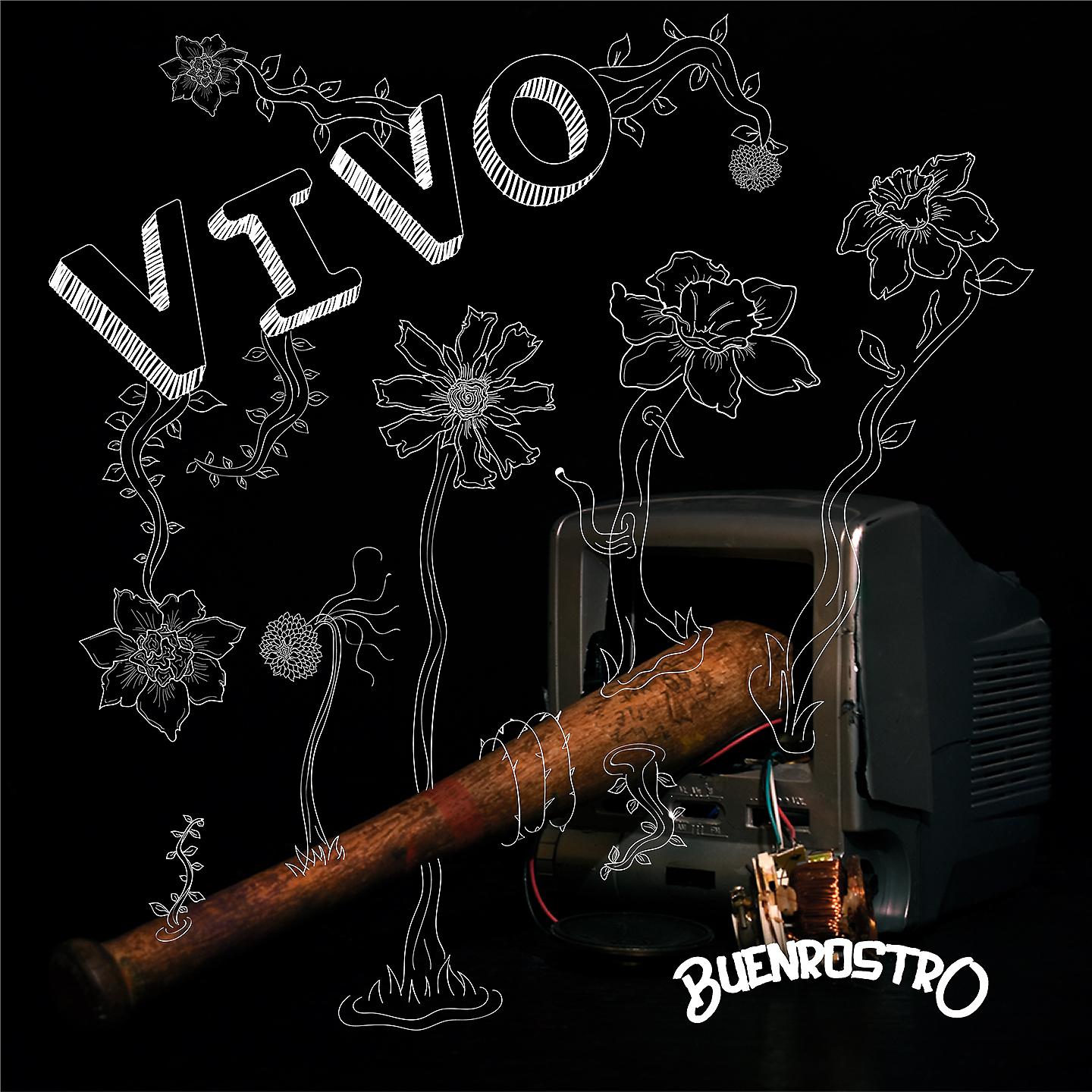 Постер альбома Vivo