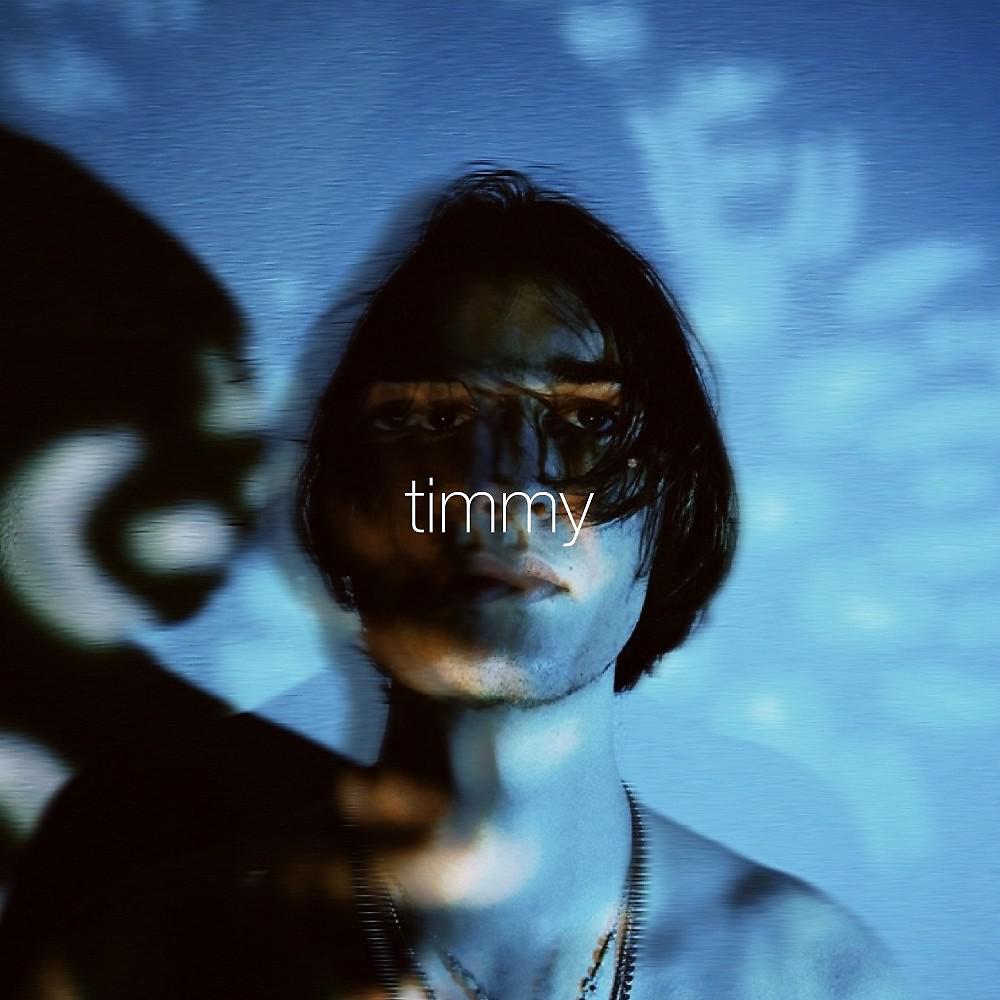 Постер альбома Timmy