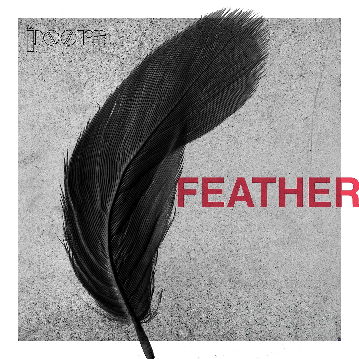 Постер альбома Feather