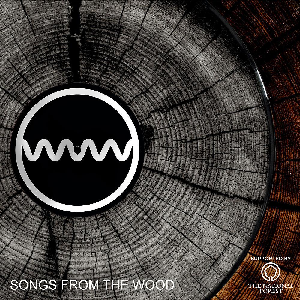Постер альбома Songs From The Wood