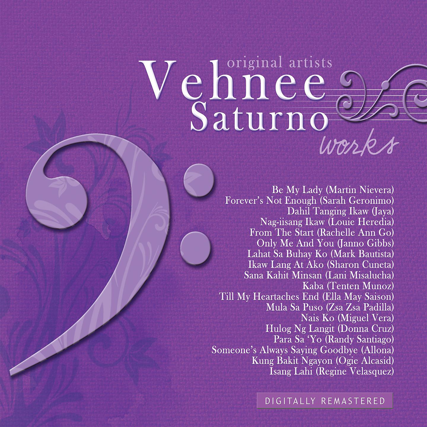 Постер альбома Vehnee Saturno Works