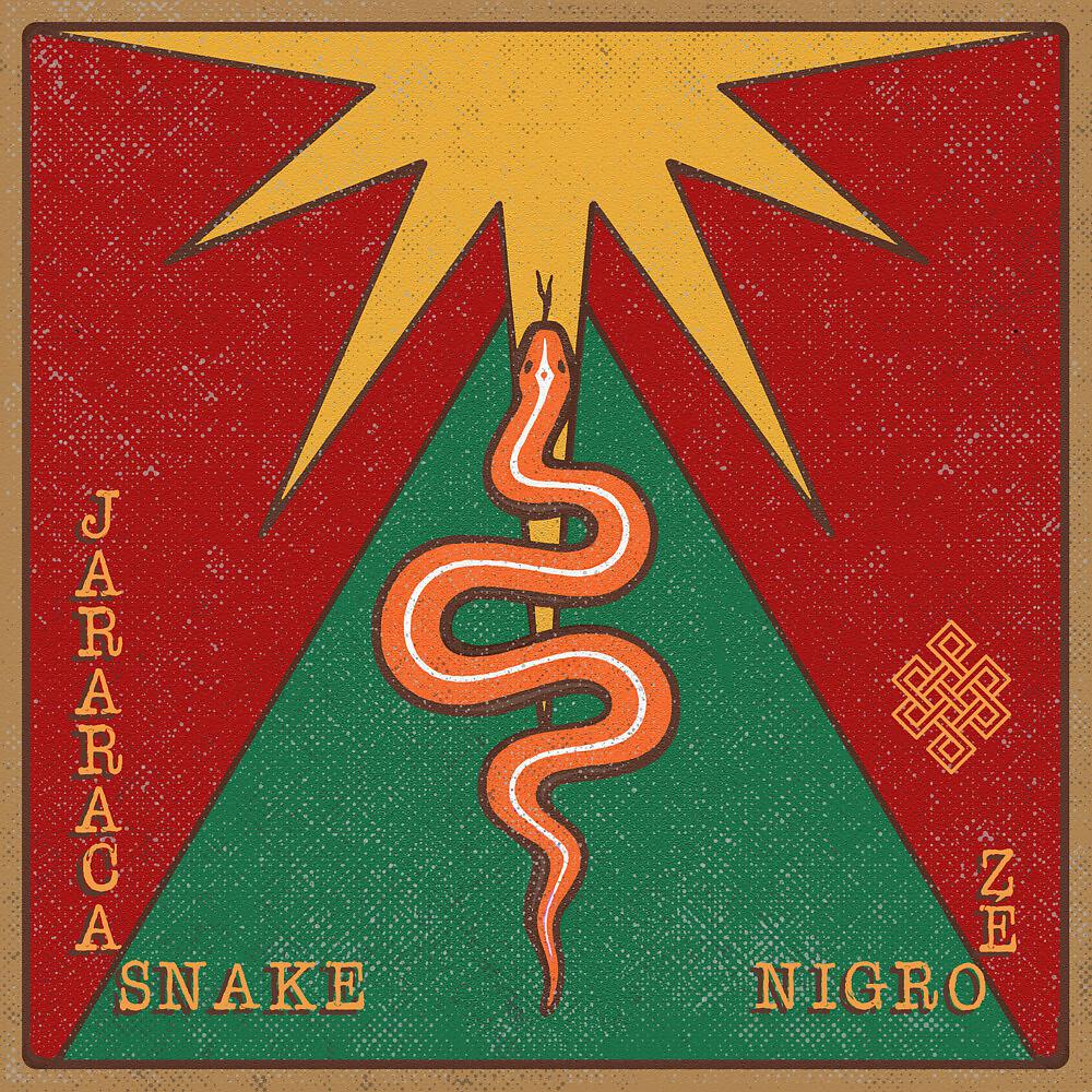 Постер альбома Jararaca Snake