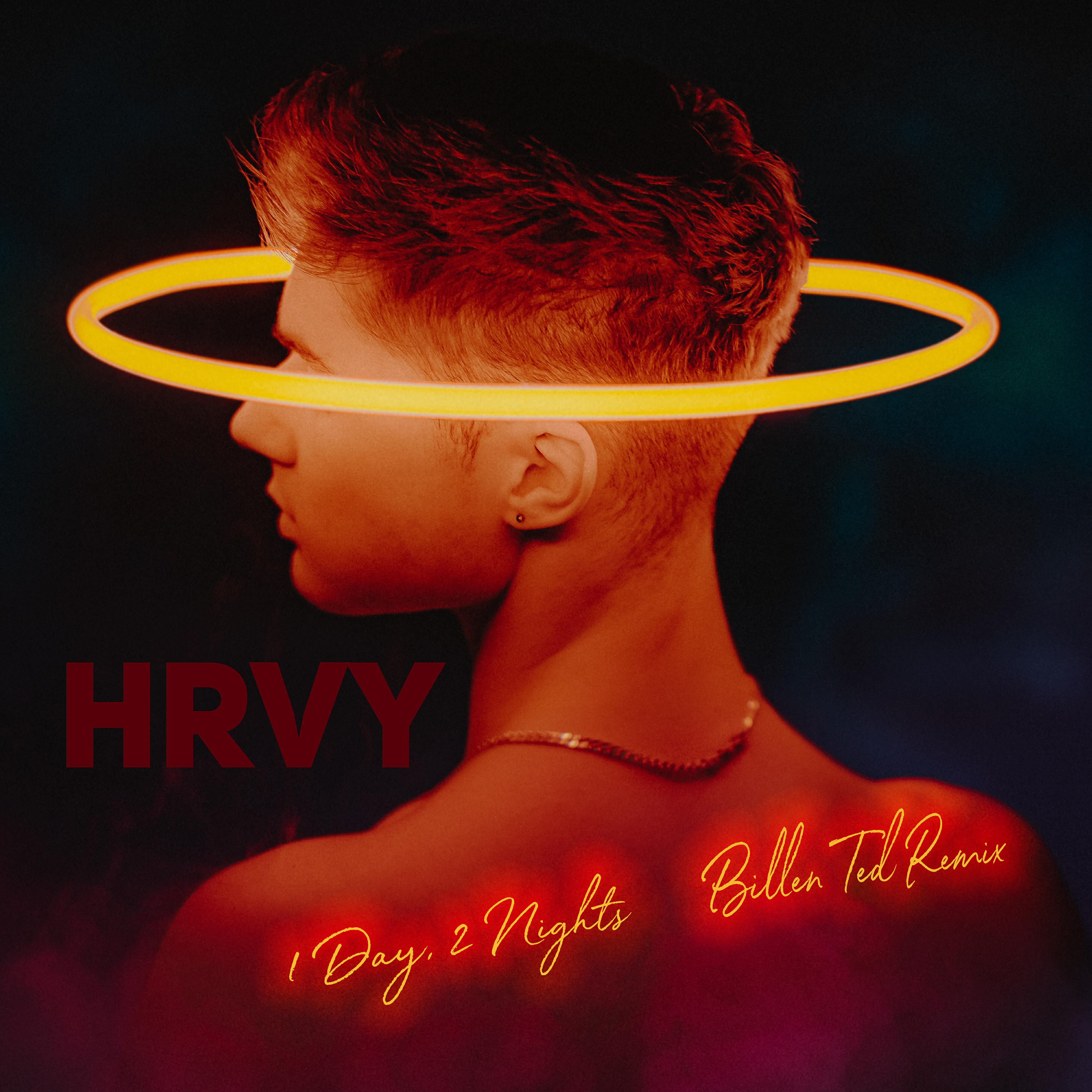 HRVY - 1 Day 2 Nights (Billen Ted Remix)