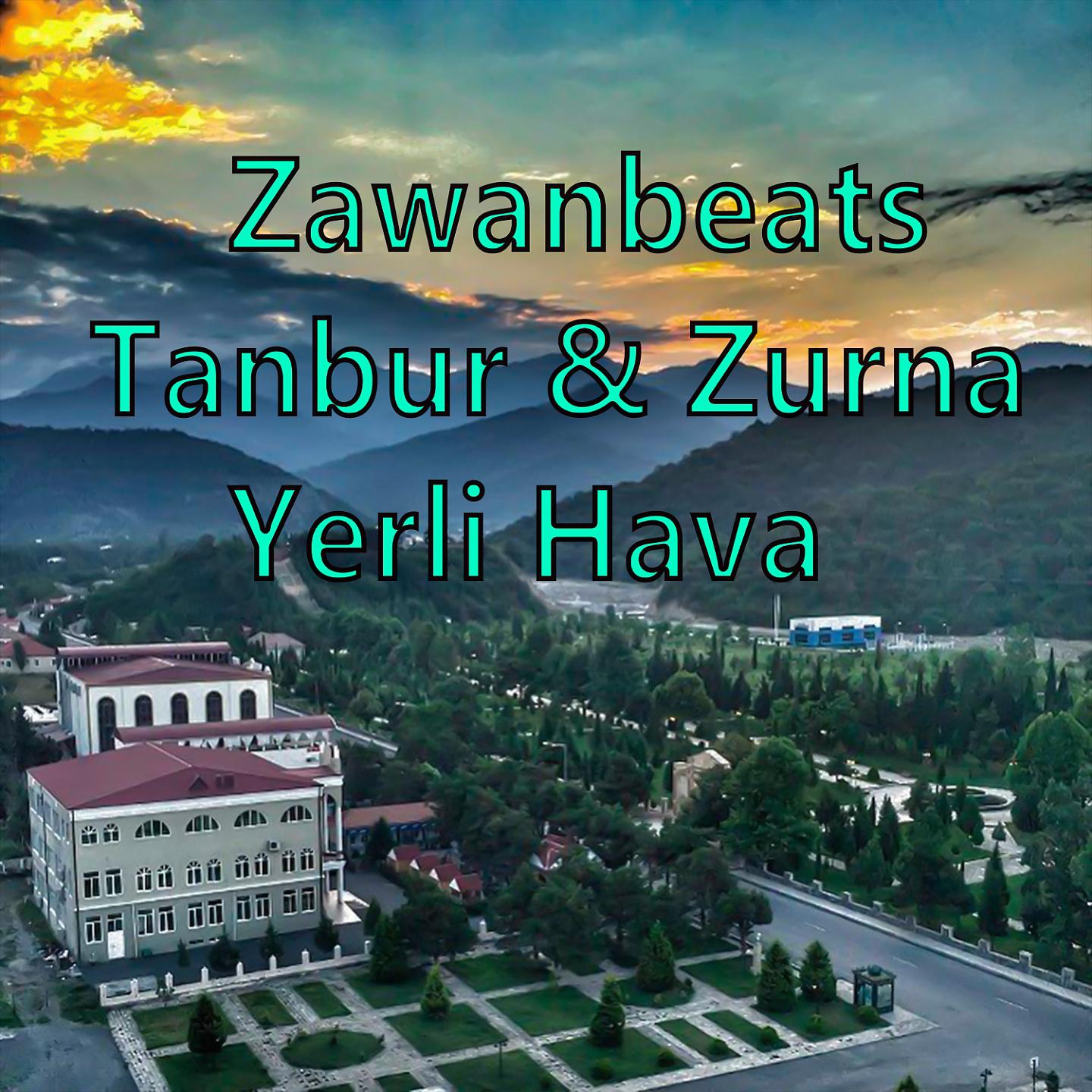 Постер альбома Tanbur & Zurna Yerli Hava