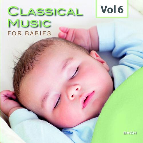Jonathan Carney - Orchestral Suite No. 2 in B Minor, BWV 1067: VII. Badinerie