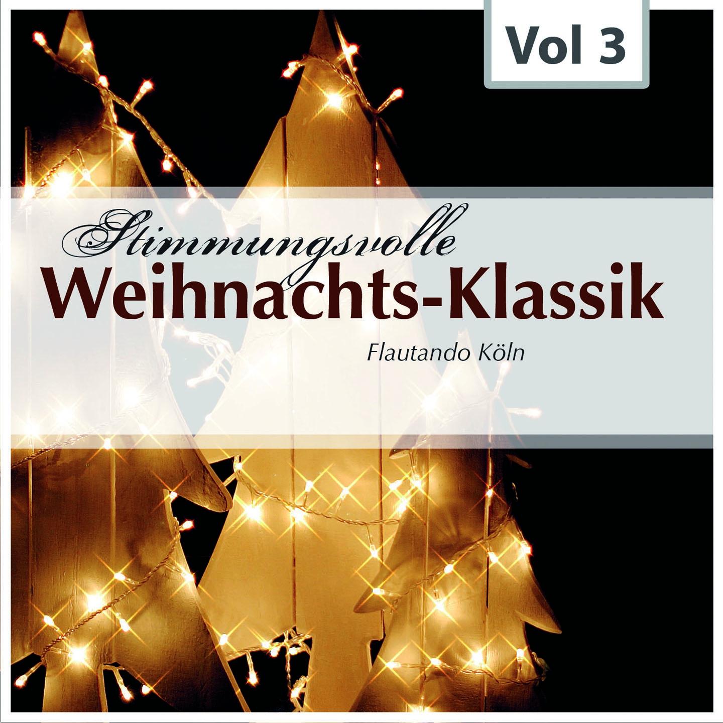 Постер альбома Stimmungsvolle Weihnachts-Klassik, Vol. 3