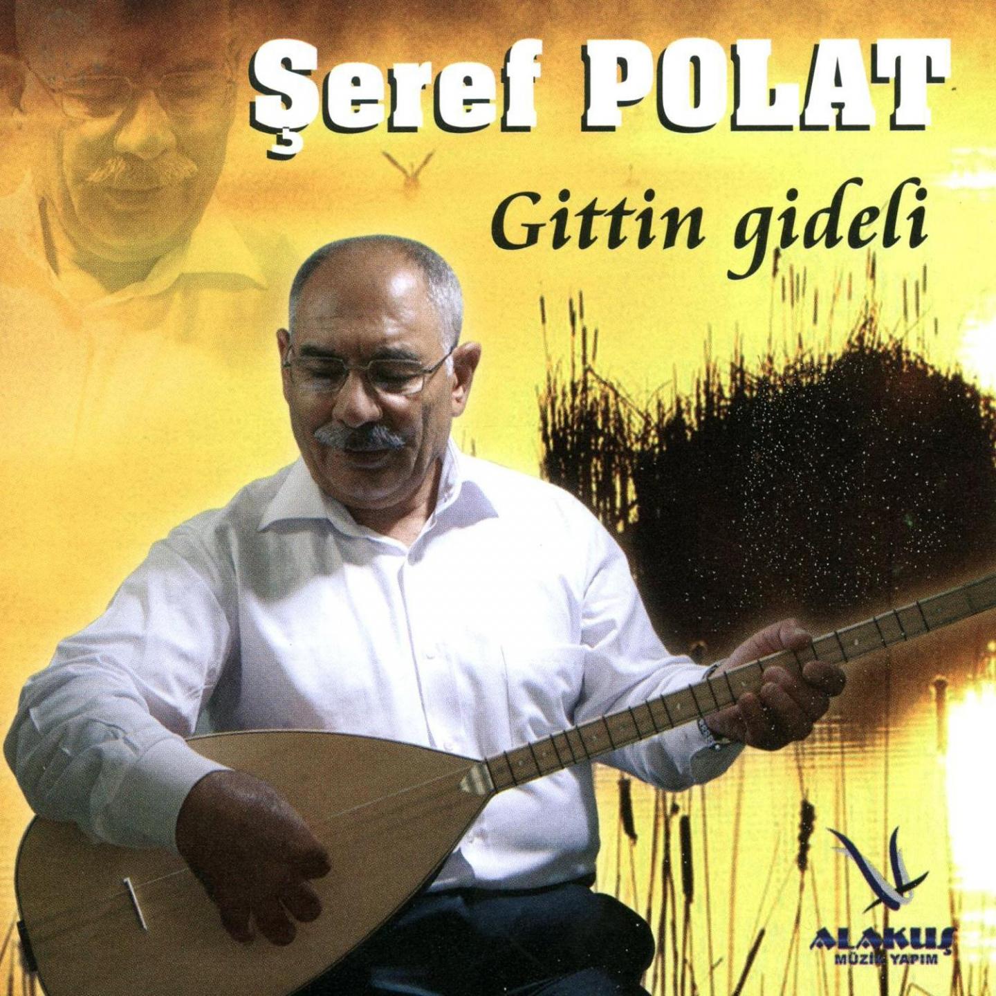 Постер альбома Gittin Gideli