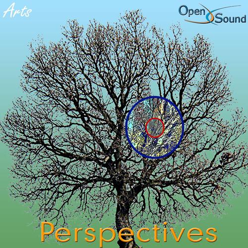 Постер альбома Perspectives (Arts)