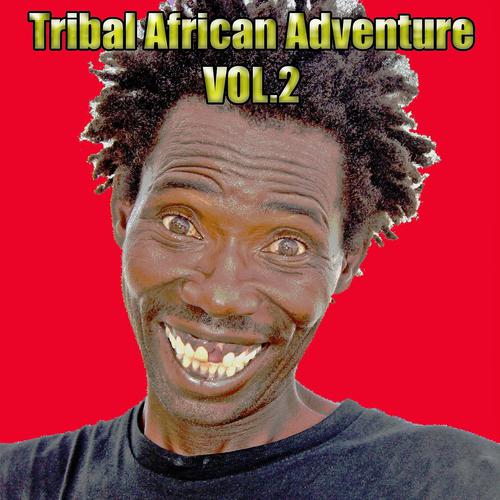 Постер альбома Tribal African Adventure, Vol. 2