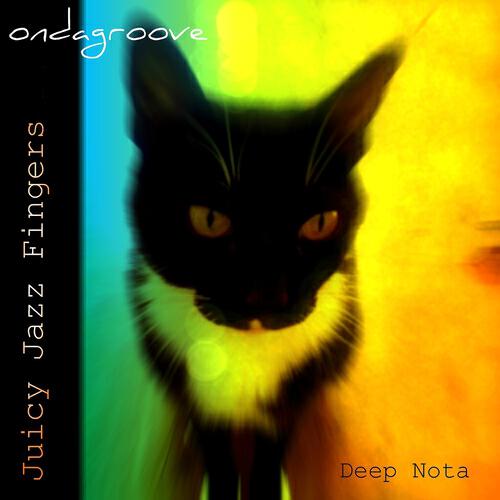 Ondagroove - Feel So High