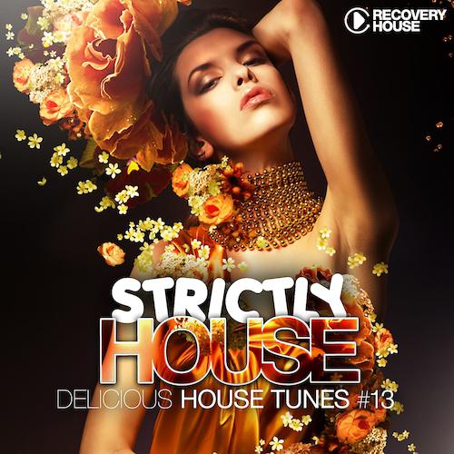 Постер альбома Strictly House - Delicious House Tunes, Vol. 13