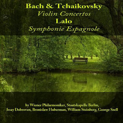 Wiener Philharmoniker - Concerto for Violin in E Major, BWV 1042: l. Allegro