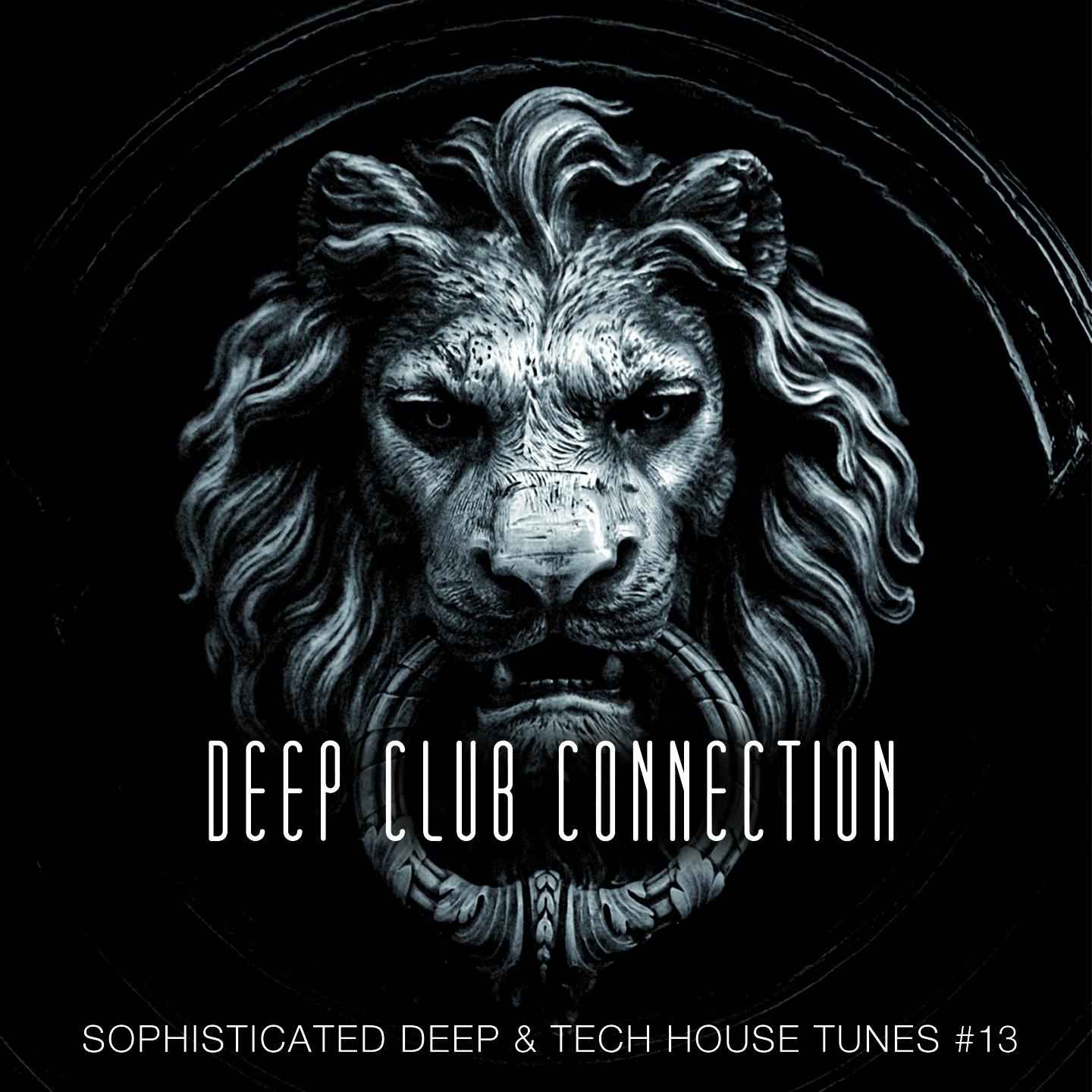 Постер альбома Deep Club Connection, Vol. 13