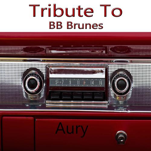 Aury - Tribute To BB Brunes: Coups et blessures
