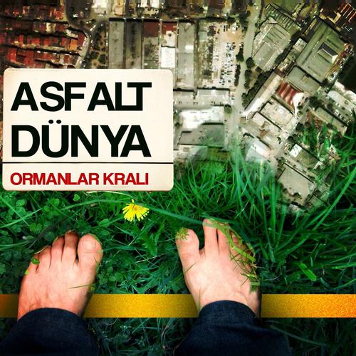 Постер альбома Ormanlar Kralı