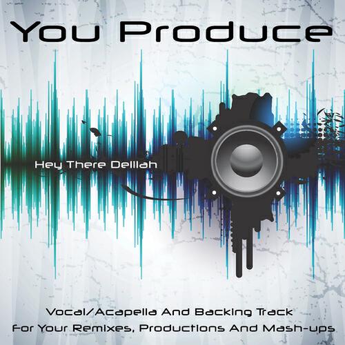 You Produce - Hey There Delilah (Backing Track) (In the Style of Plain White T's)