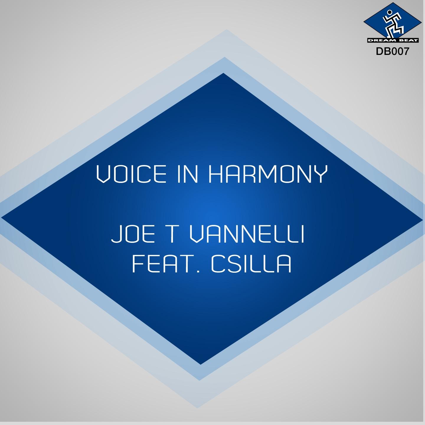 Постер альбома Voice in Harmony