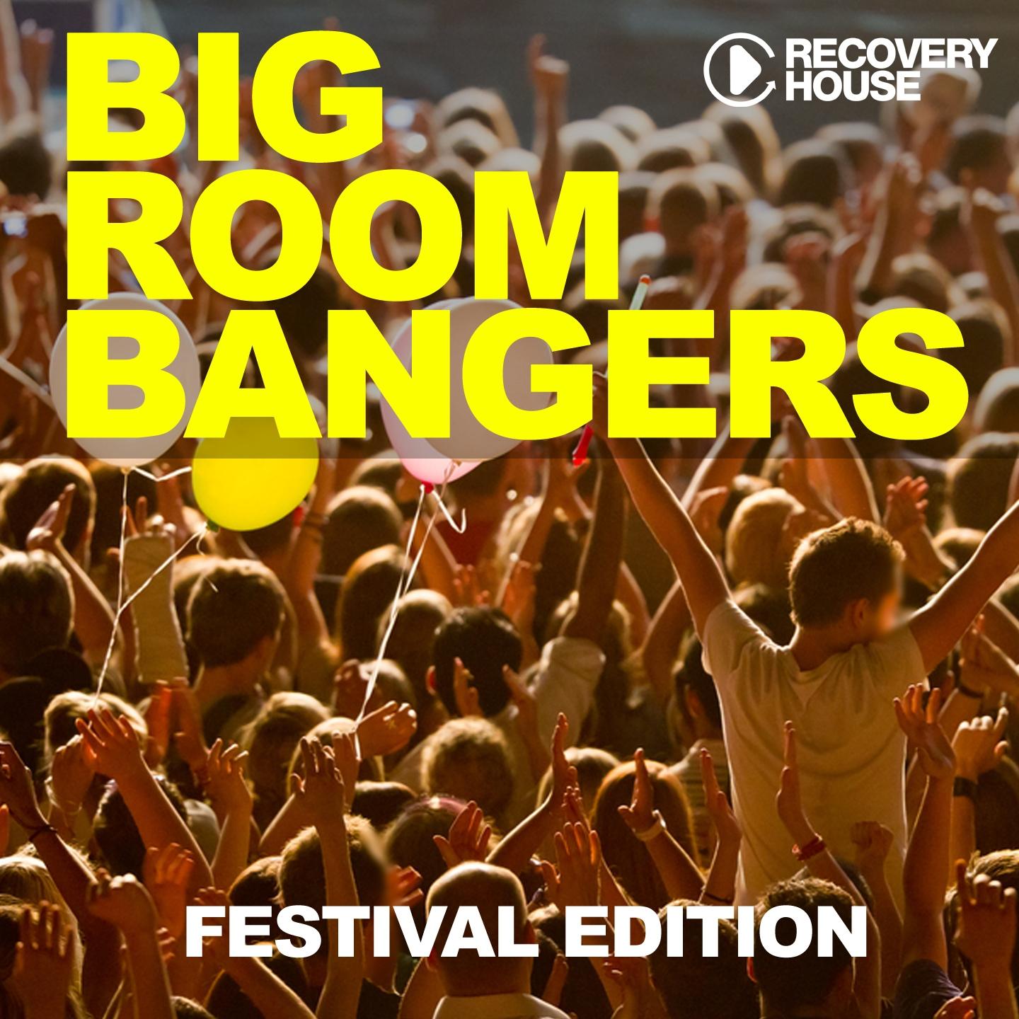 Постер альбома Bigroom Bangers, Vol. 7 - Festival Edition