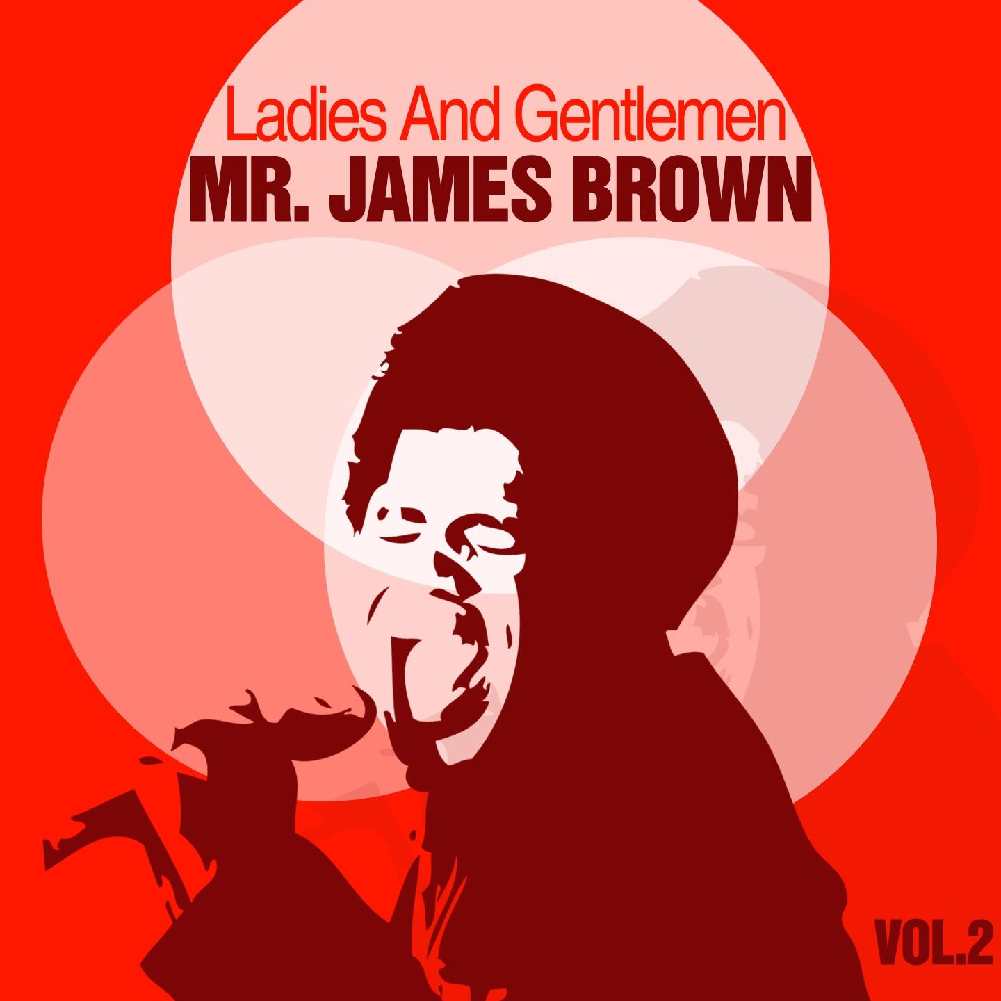 Постер альбома Ladies and Gentlemen Mr. James Brown, Vol. 2