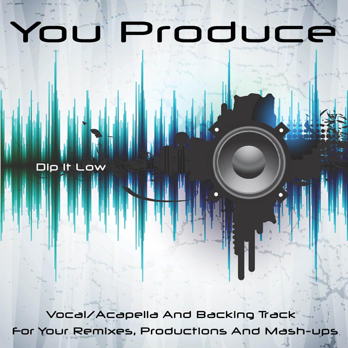 You Produce - Dip It Low (Backing Track) (In the Style of Christina Milian)