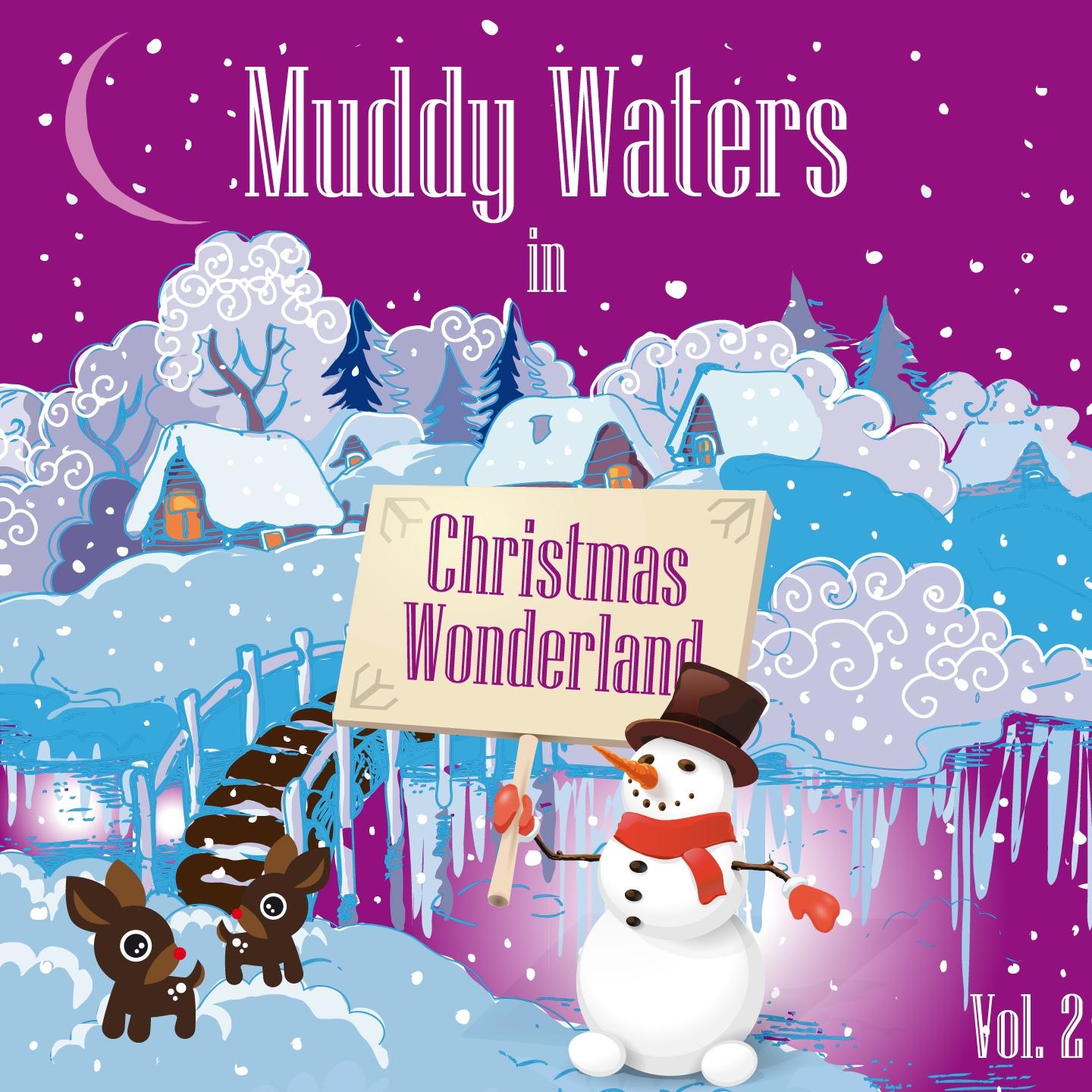 Постер альбома Muddy Waters in Christmas Wonderland, Vol. 2