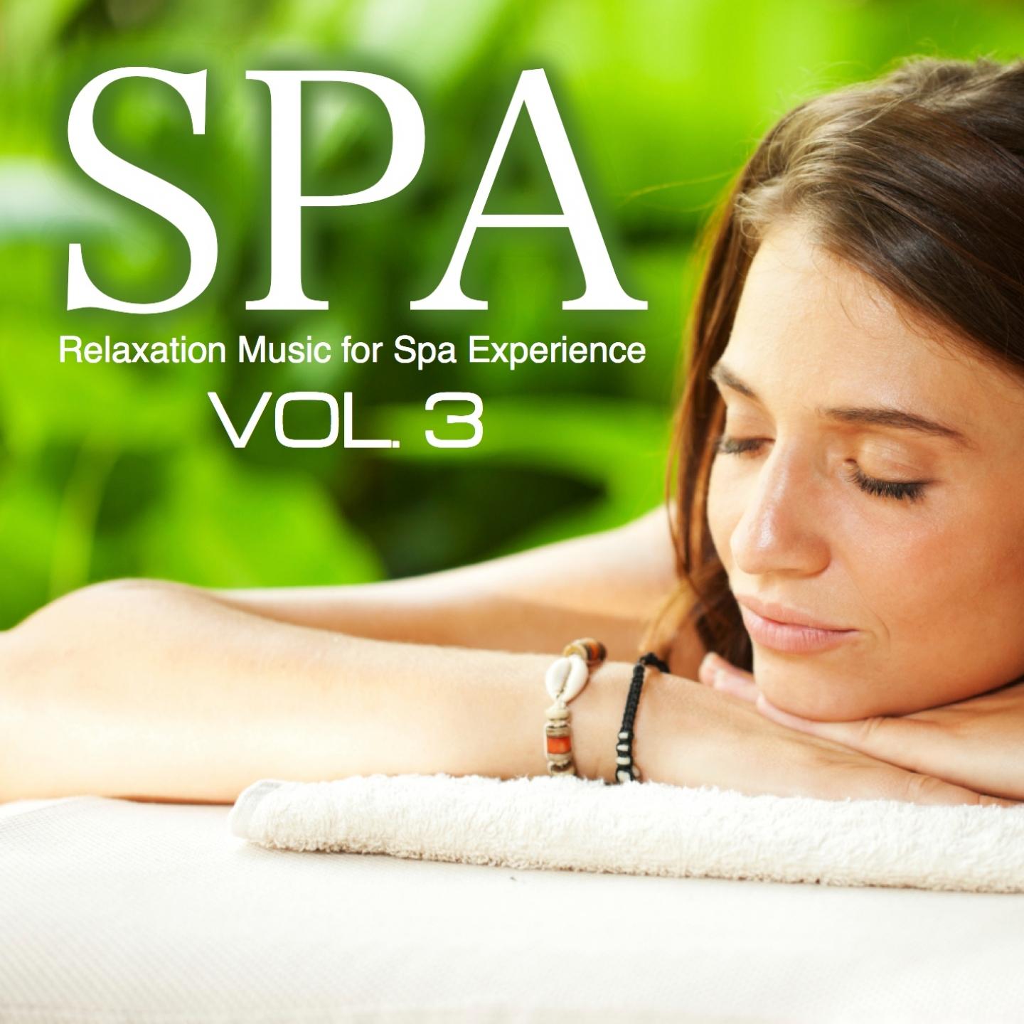 Постер альбома Spa Relaxation Music Experience, Vol. 3 (Relaxing Nature Sounds Relaxation and Tibetan Chakra Meditation Music for Relaxation Meditation, Deep Sleep, Studying, Healing Massage, Spa, Sound Therapy, Chakra Balancing, Baby Sleep, Serenity and Yoga)