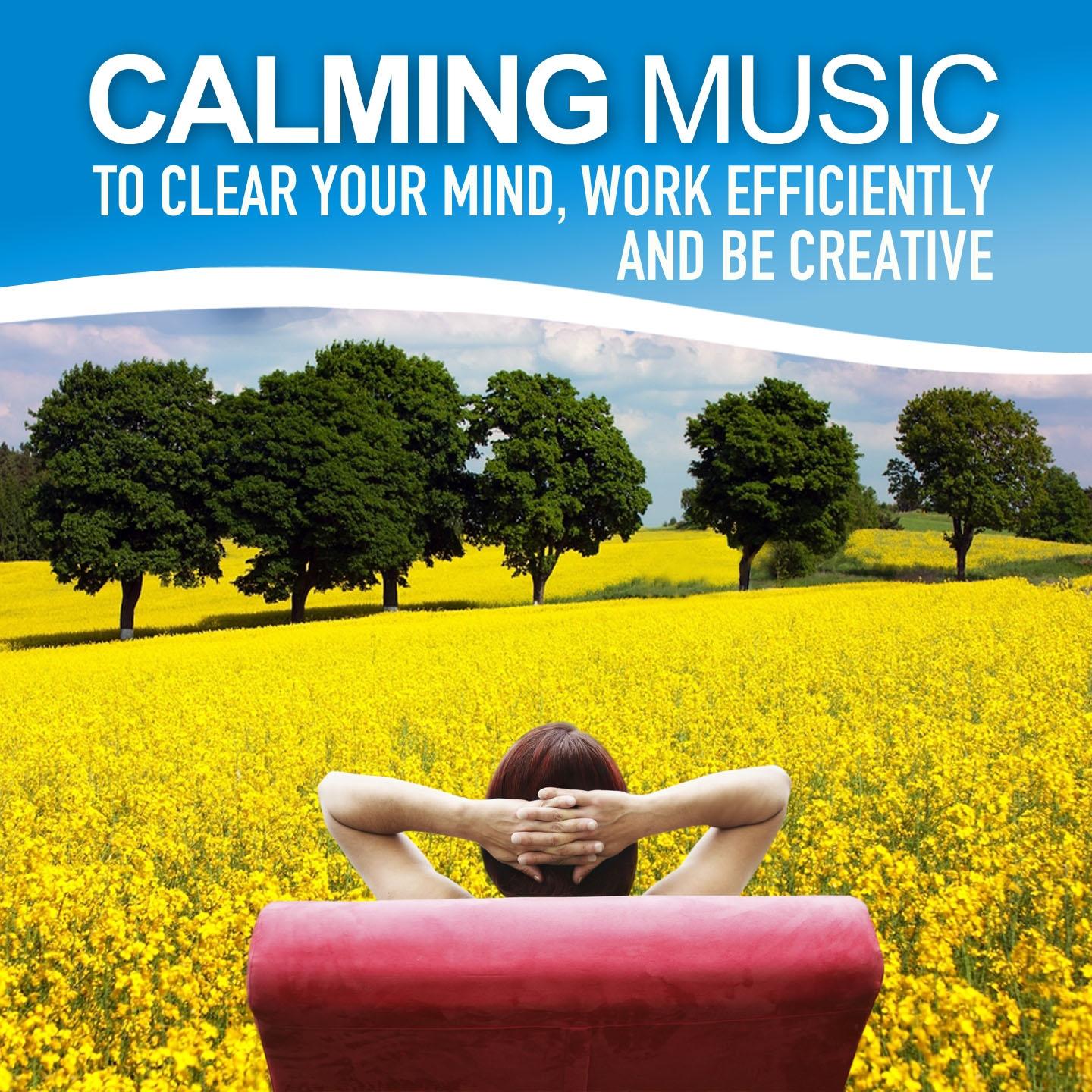 Постер альбома Calming Music to Clear Your Mind, Work Efficiently and Be Creative