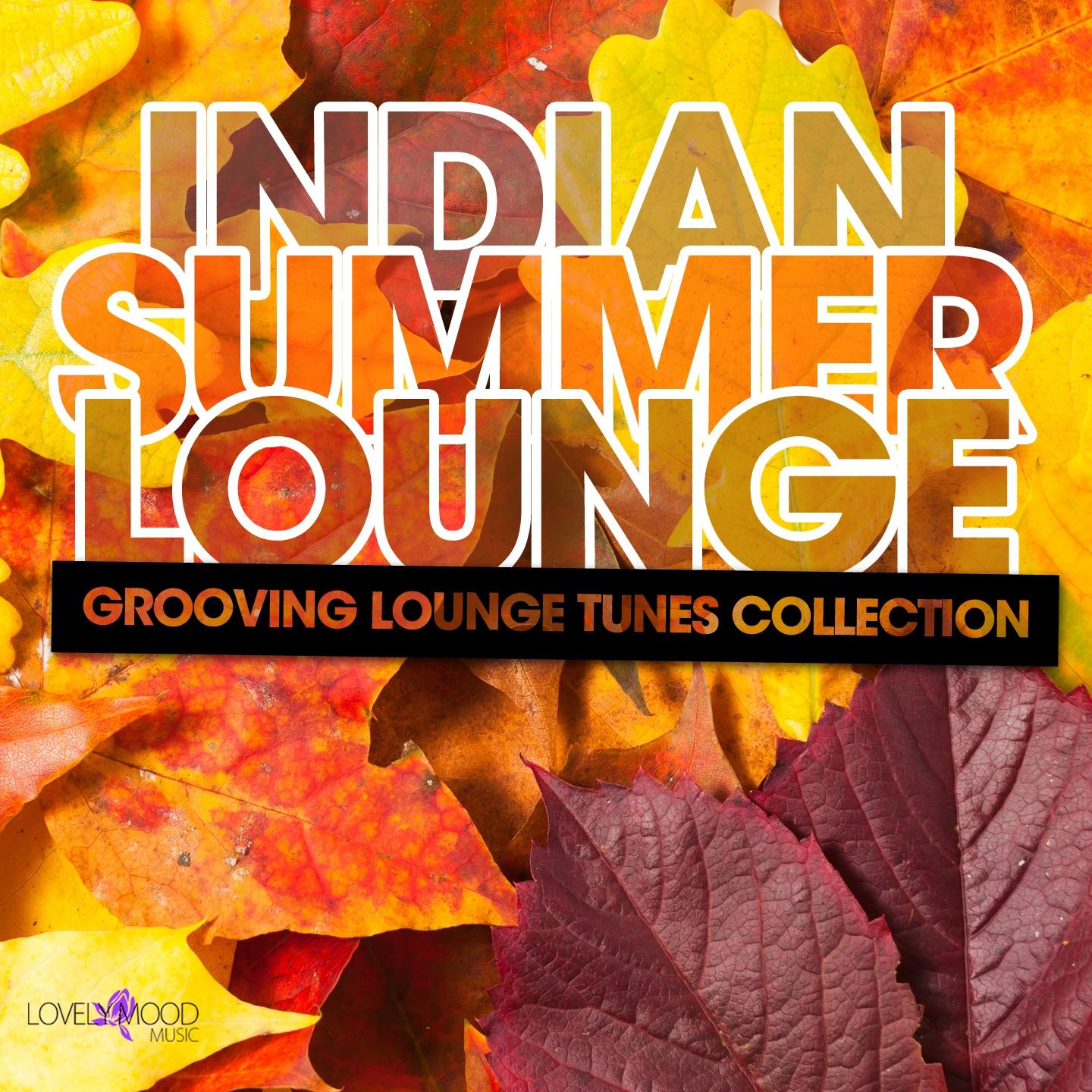 Постер альбома Indian Summer Lounge