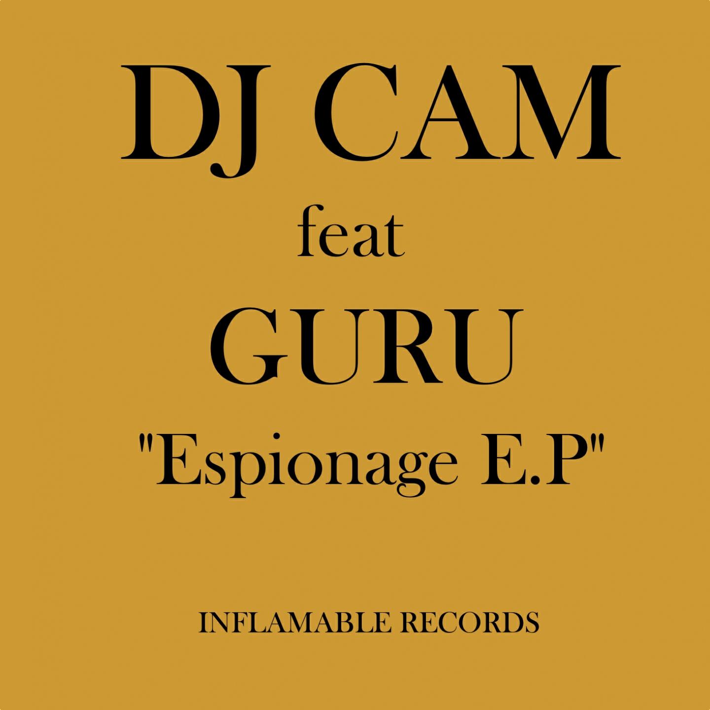 DJ Cam - Espionage (Bob Sinclar Remix Instrumental)