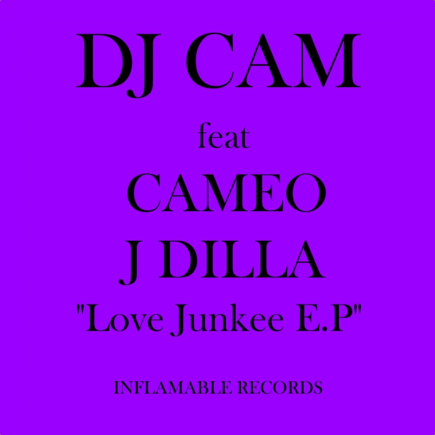 DJ Cam - Love Junkee (Willy Sunshine Version)