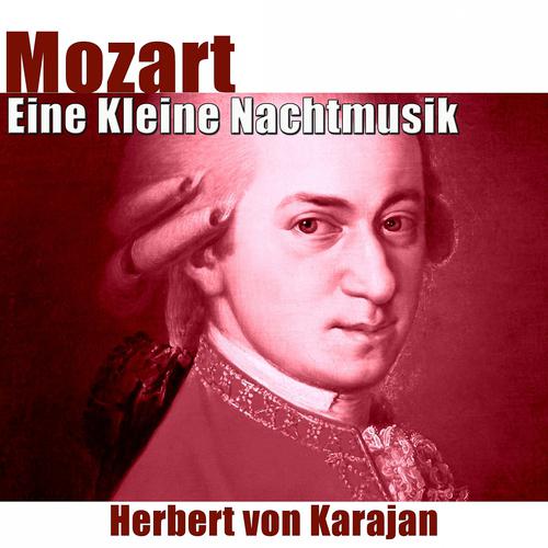 Постер альбома Eine Kleine Nachtmusik