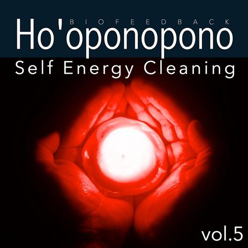 Постер альбома Ho'oponopono: Self Energy Cleaning, Vol. 5