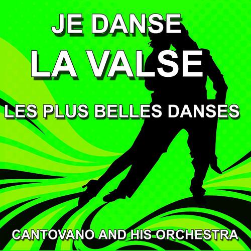 Постер альбома Je danse la Valse