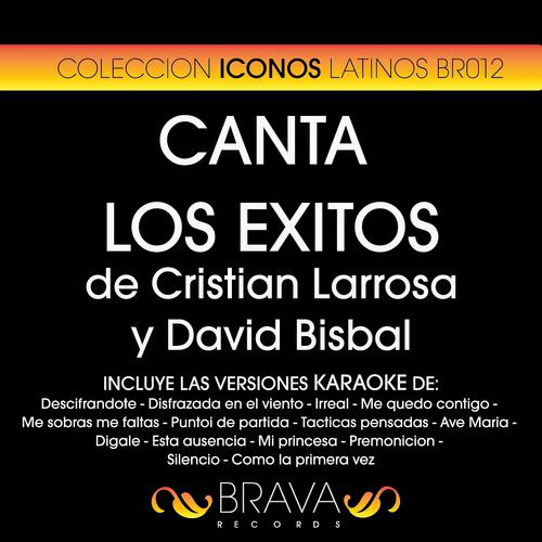 Постер альбома Canta los Exitos de Cristian Larrosa y David Bisbal