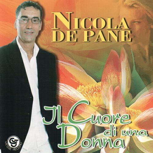 Nicola De Pane - Un marito da solo