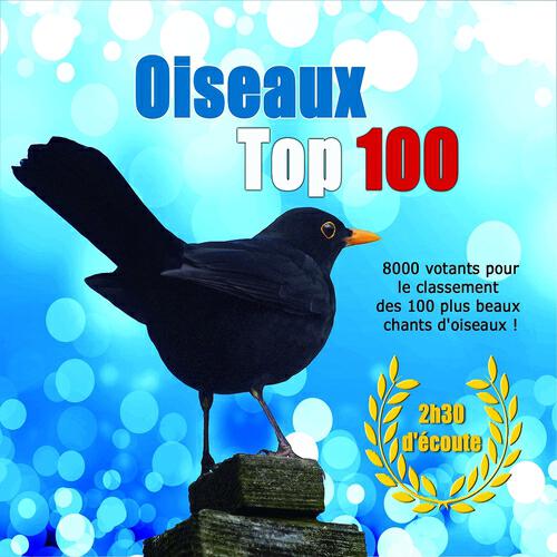 Henk Meeuwsen - Chouette hulotte - Strix aluco
