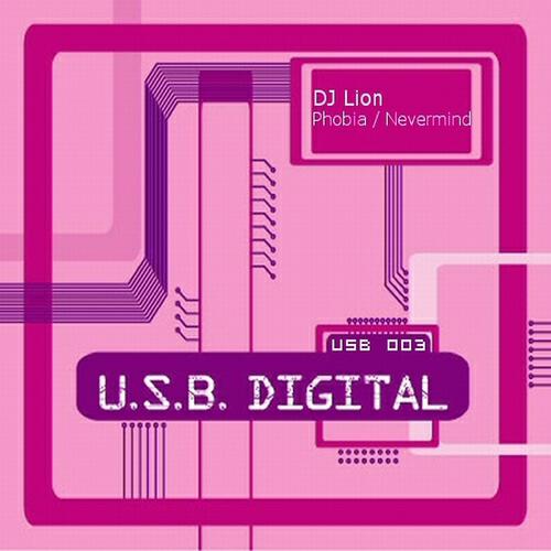 DJ Lion - Nevermind (Original)