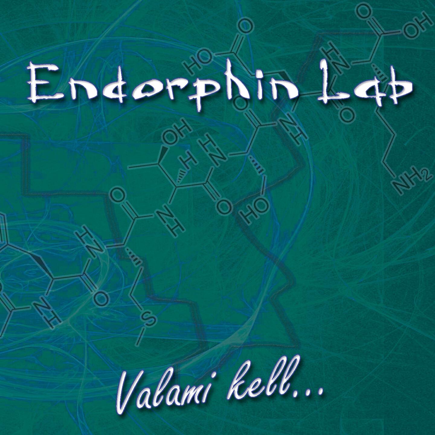 Endorphin Lab - Skizofrén masiniszta