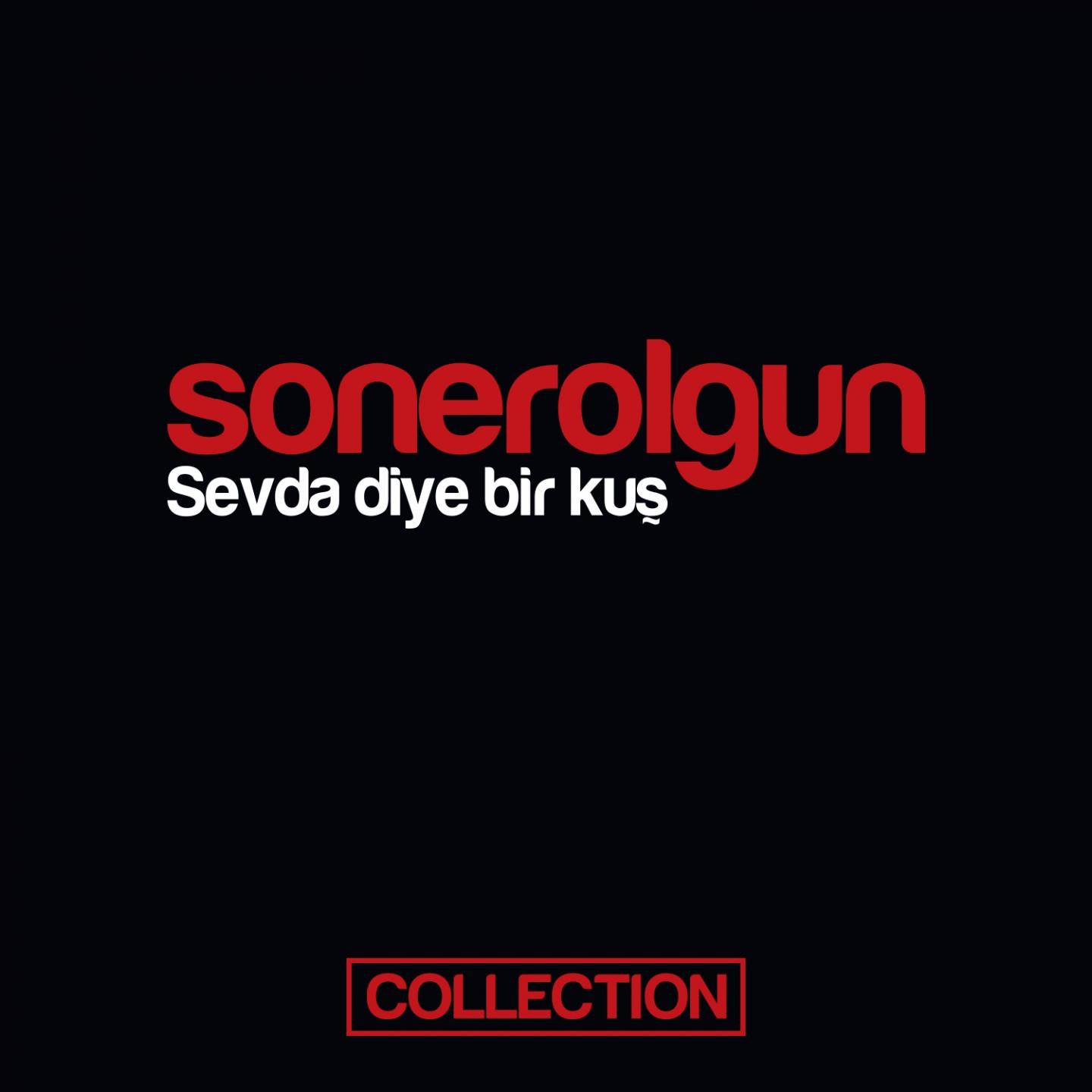 Постер альбома Sevda Diye Bir Kuş Collection