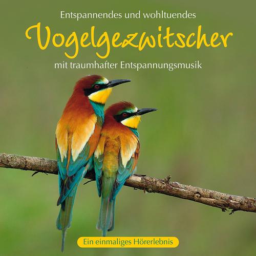 Постер альбома Vogelgezwitscher mit traumhafter Entspannungsmusik