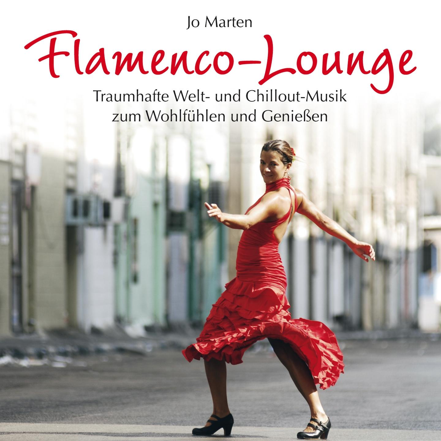 Постер альбома Flamenco Lounge