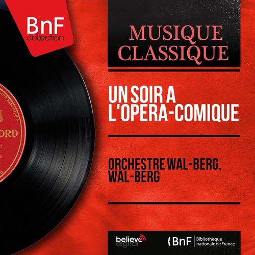 Постер альбома Un soir à l'Opéra-comique (Mono Version)