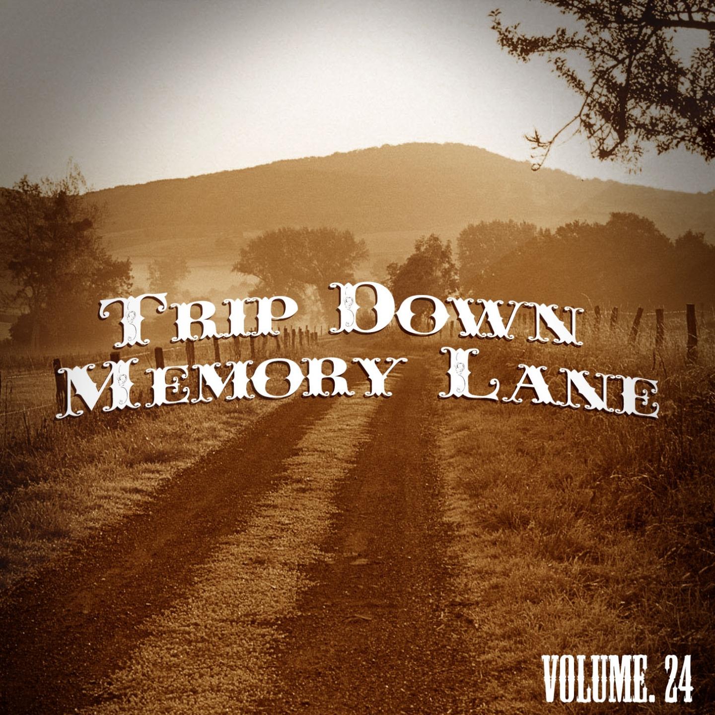 Постер альбома Trip Down Memory Lane, Vol. 24