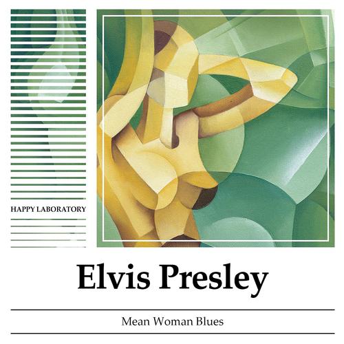 Постер альбома Mean Woman Blues