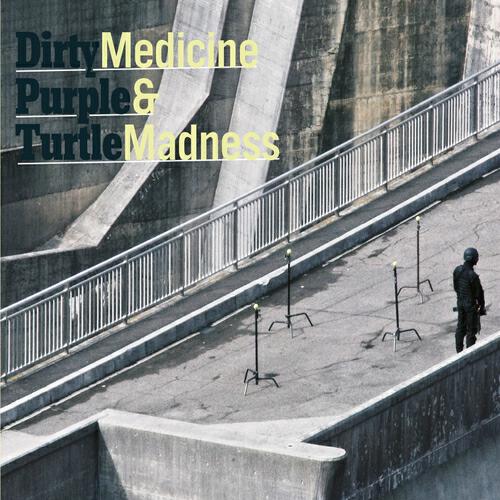 Dirty Purple Turtle - Medicine & Madness