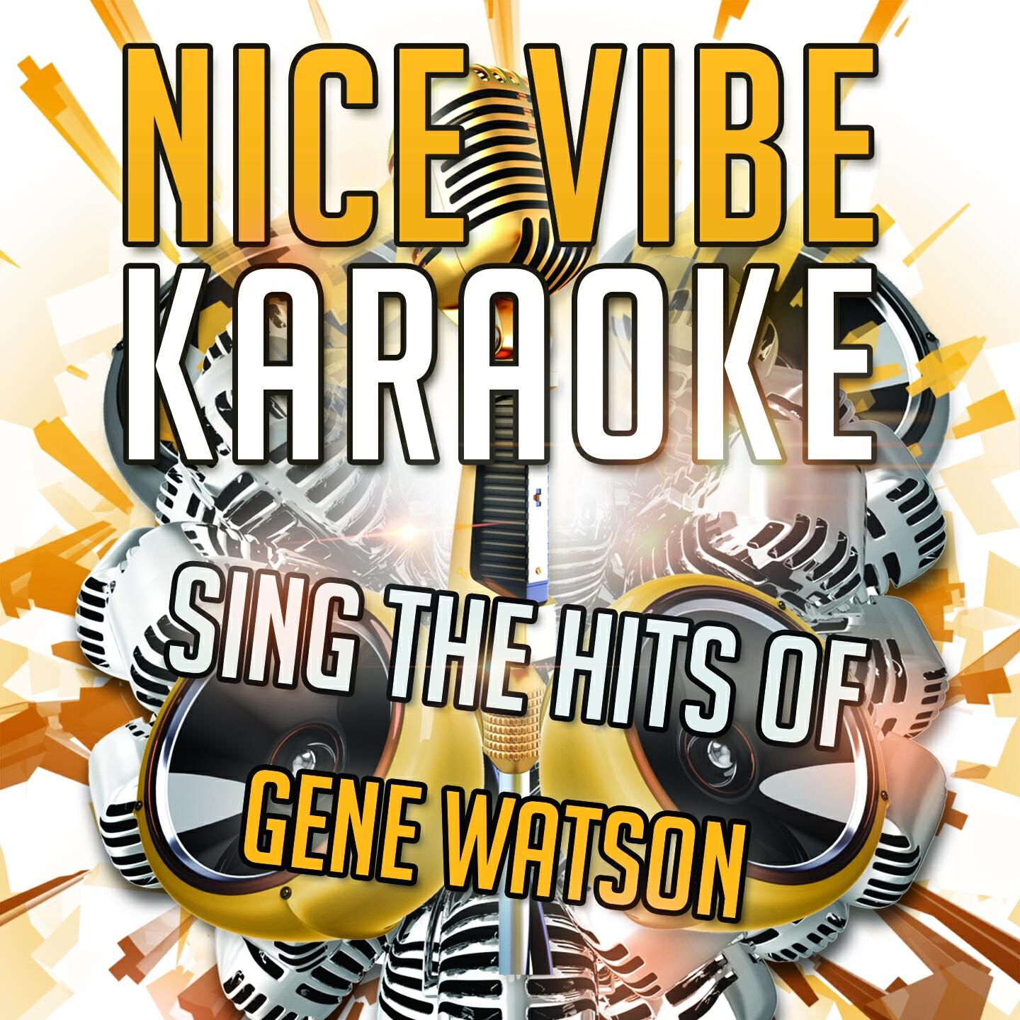 Nice Vibe - Farewell Party (Karaoke Version) (Originally Performed By Gene Watson)