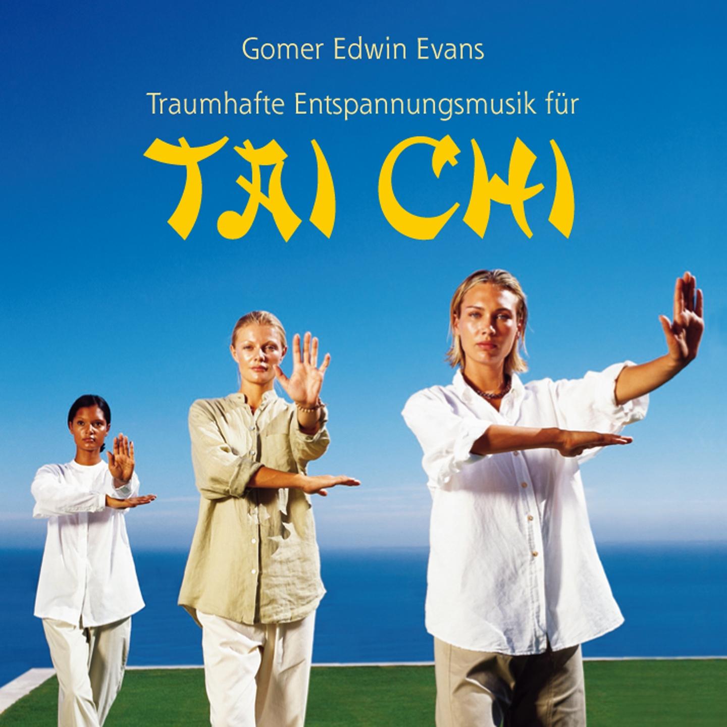 Постер альбома Tai Chi: Traumhafte Entspannungsmusik