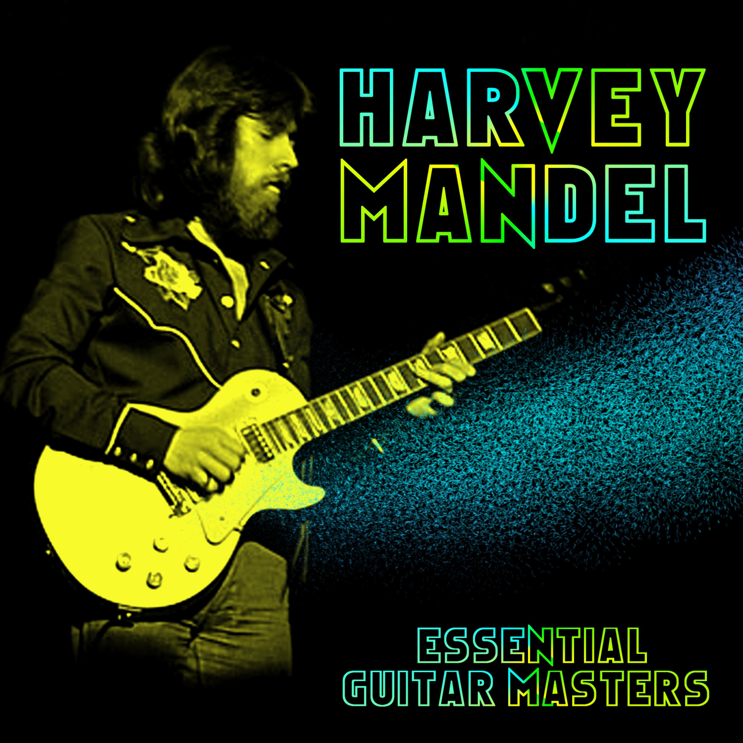 Постер альбома Essential Guitar Masters