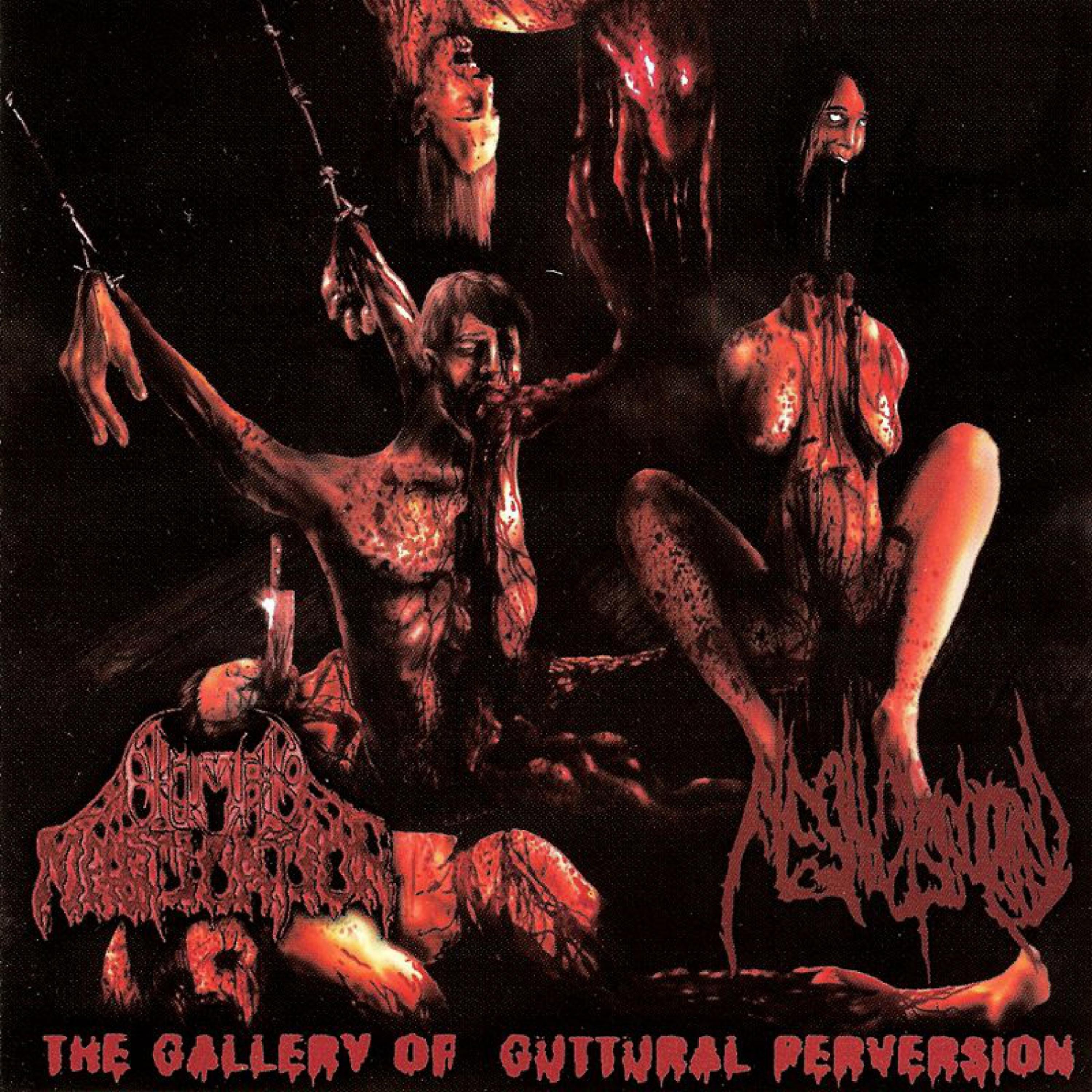 Постер альбома The Gallery of Guttural Perversion